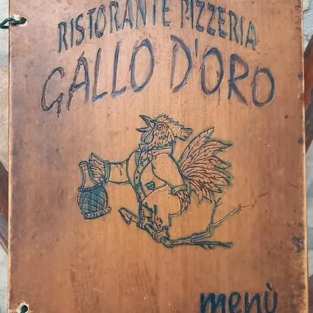 Prof Oliveto Antico San Marco in Lamis