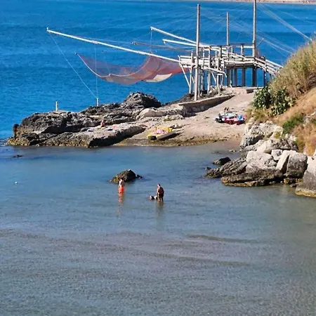 Prof Oliveto Antico 招待所