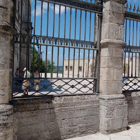 Prof Oliveto Antico 圣马尔科因拉米斯