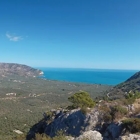 Prof Oliveto Antico 3*