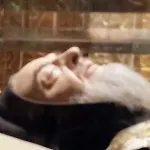 Gæstehus Prof Oliveto Antico