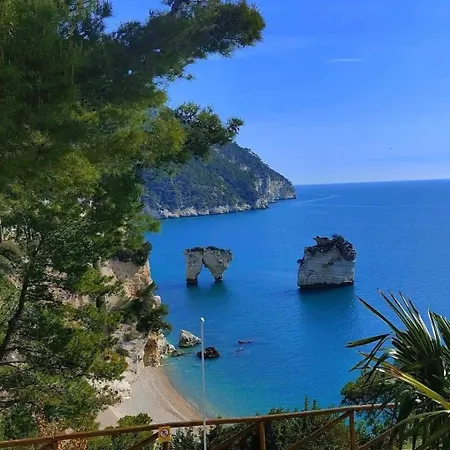 Prof Oliveto Antico San Marco in Lamis